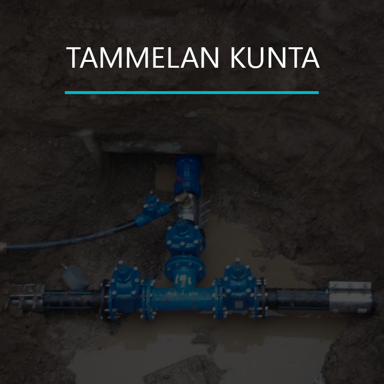 Tammelan kunta reference