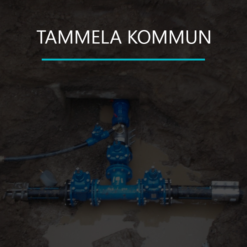 Tammela kommun reference